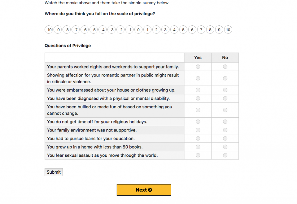 Screenshot of the submission pattern for the confronting your privilege form. Buttons from -10 to 10 are horizontally across the top and a grid of yes/no questions are below. 