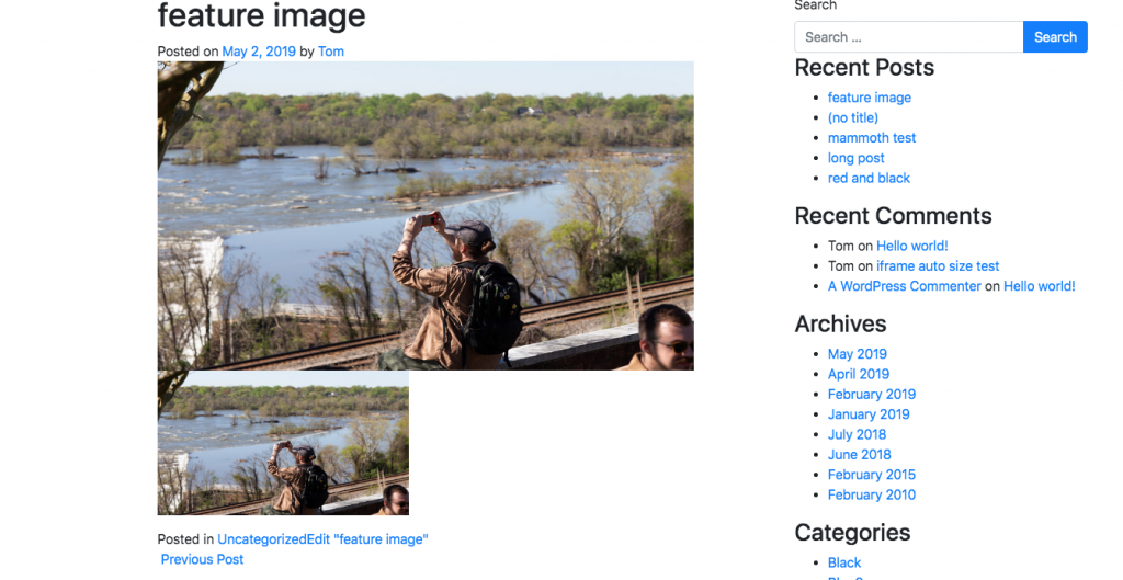 A screenshot from codepen showing one example of how featured image duplication can look awkward.