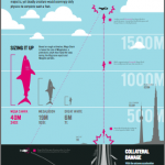 Mega Shark Infographic