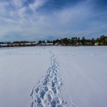 Footprints leading to the horizon in the snow.