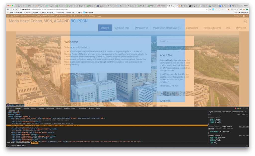 website screenshot indicating blue div blocking access to central portion of embedded website