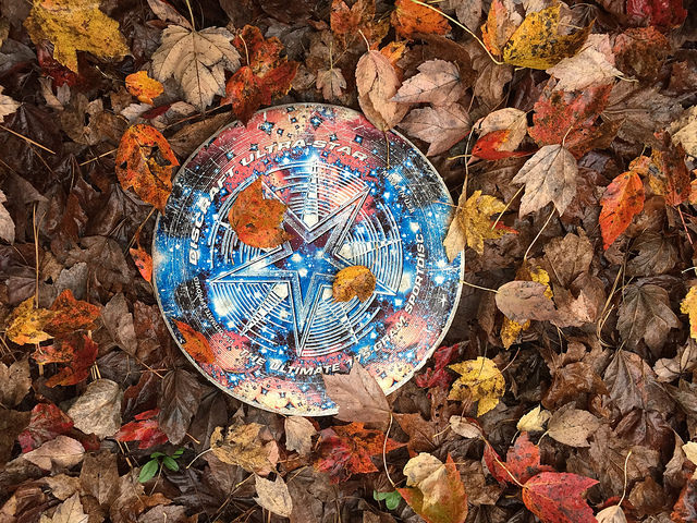 frisbee surrounded by bright fall leaves.